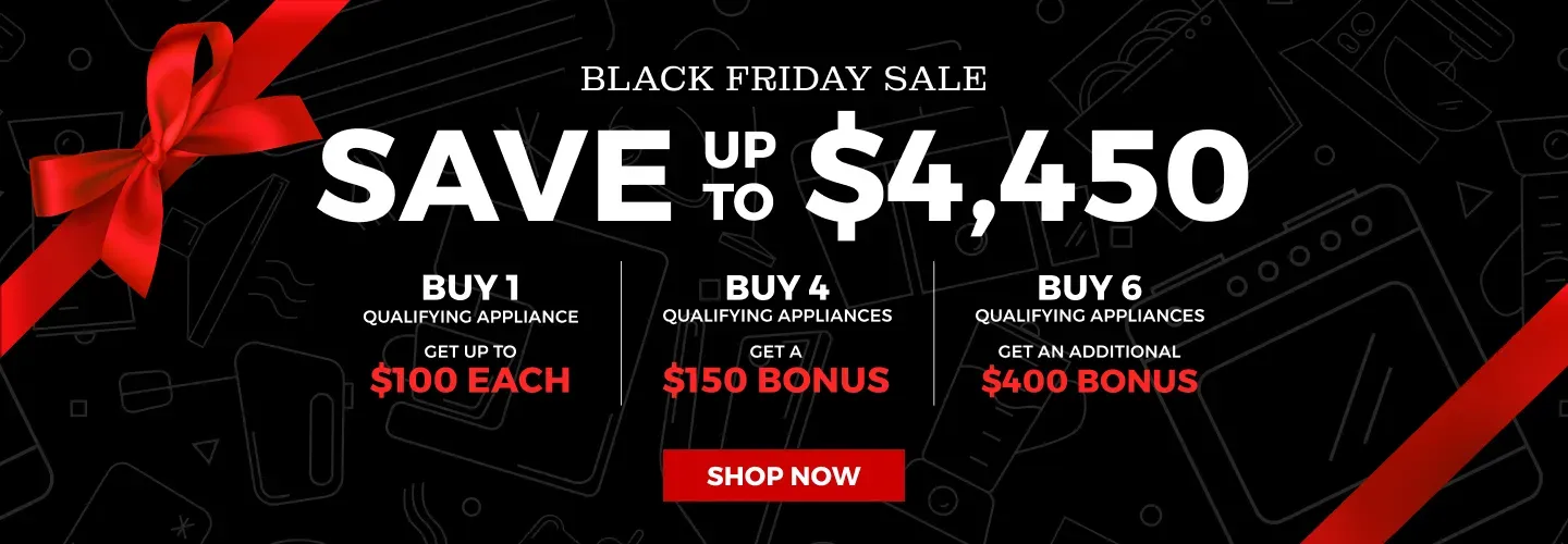 Black Friday Sale